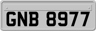GNB8977