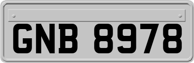 GNB8978