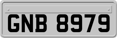 GNB8979