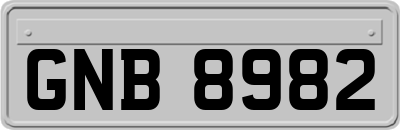 GNB8982