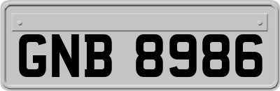 GNB8986