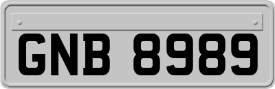 GNB8989