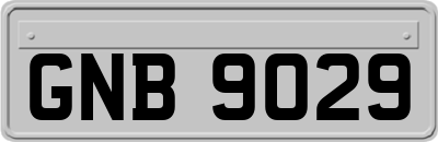 GNB9029
