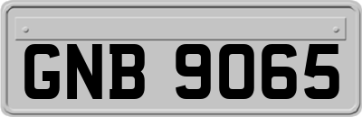 GNB9065