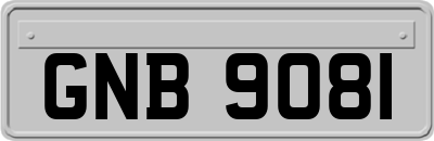 GNB9081