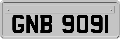GNB9091