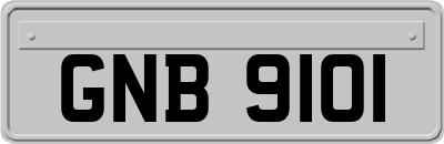 GNB9101