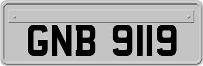 GNB9119
