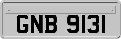 GNB9131