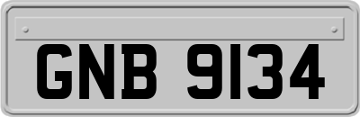 GNB9134