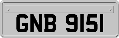 GNB9151