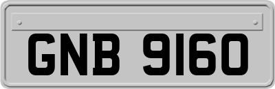 GNB9160