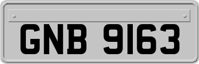 GNB9163