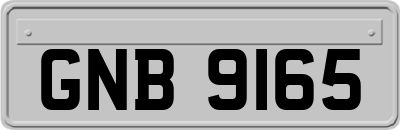 GNB9165