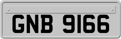 GNB9166