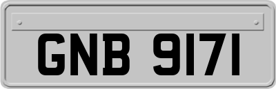 GNB9171