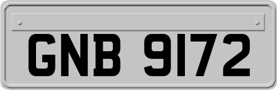 GNB9172