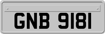 GNB9181