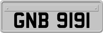 GNB9191