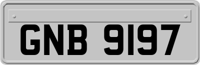 GNB9197