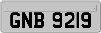 GNB9219