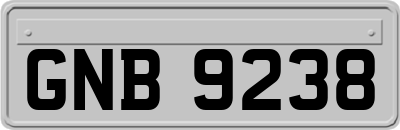 GNB9238
