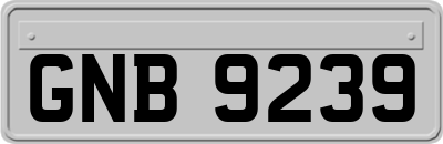 GNB9239