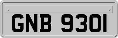 GNB9301