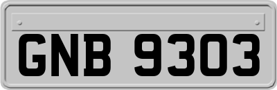 GNB9303