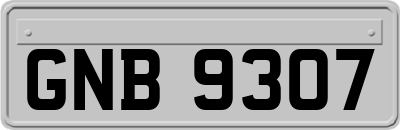 GNB9307
