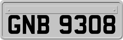GNB9308