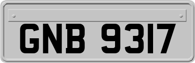 GNB9317