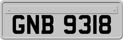 GNB9318
