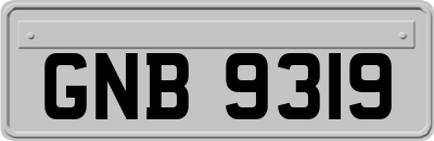 GNB9319