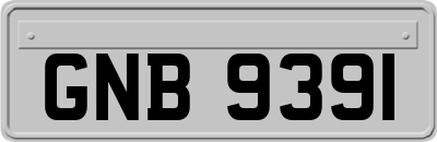 GNB9391