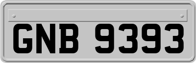 GNB9393