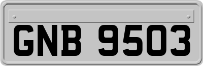 GNB9503