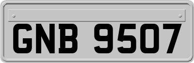GNB9507