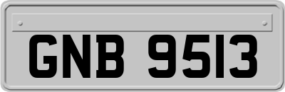 GNB9513