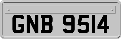 GNB9514