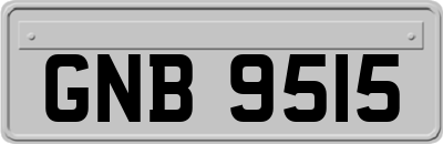 GNB9515