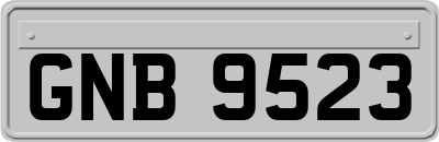 GNB9523