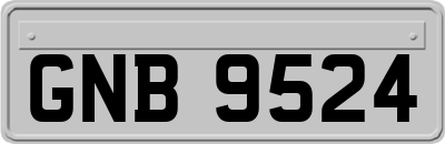 GNB9524