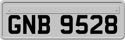 GNB9528