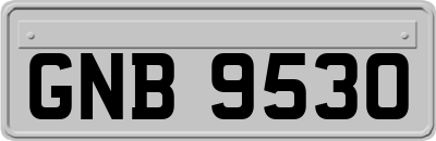 GNB9530