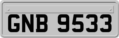 GNB9533
