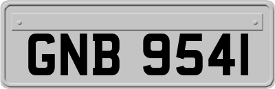 GNB9541