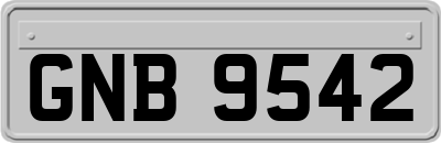 GNB9542