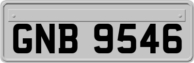 GNB9546