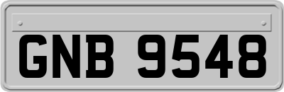 GNB9548